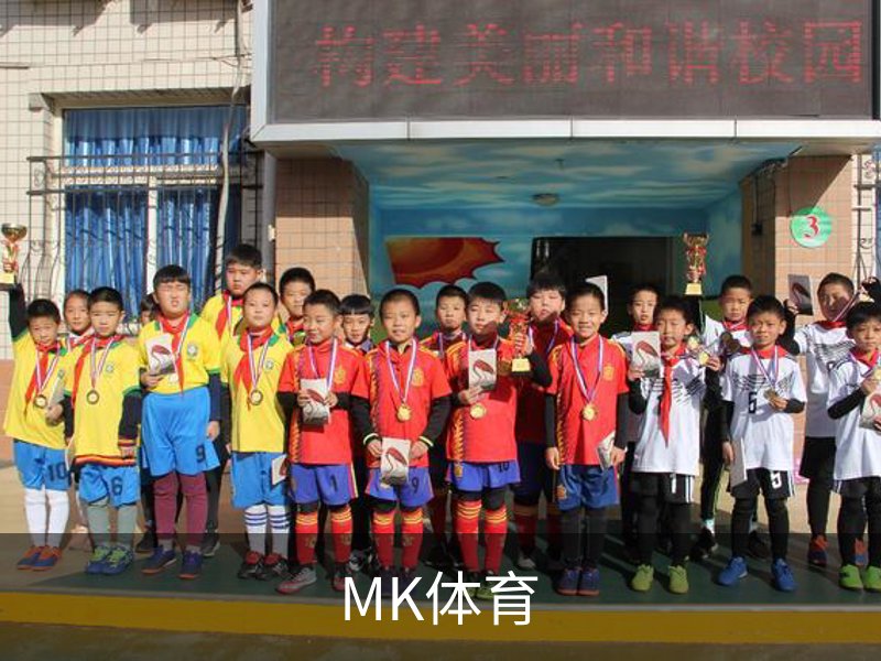MK体育概况